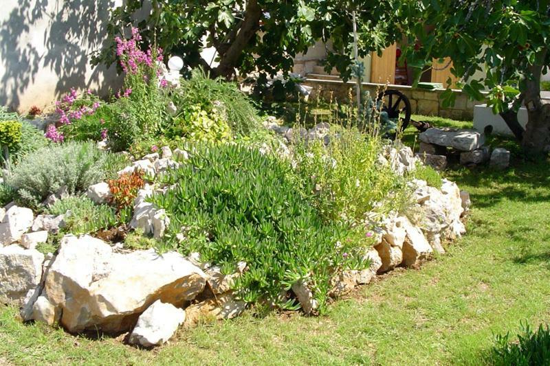 Pape Punat Apartmani I Sobe Exterior photo