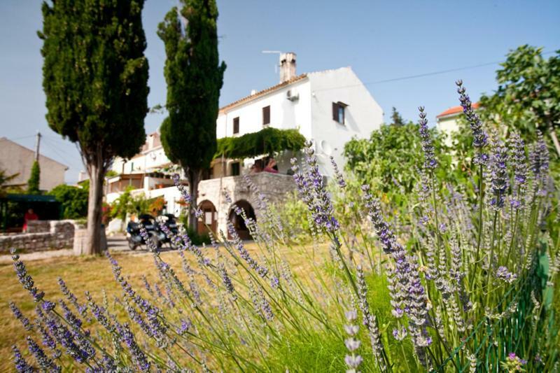 Pape Punat Apartmani I Sobe Exterior photo