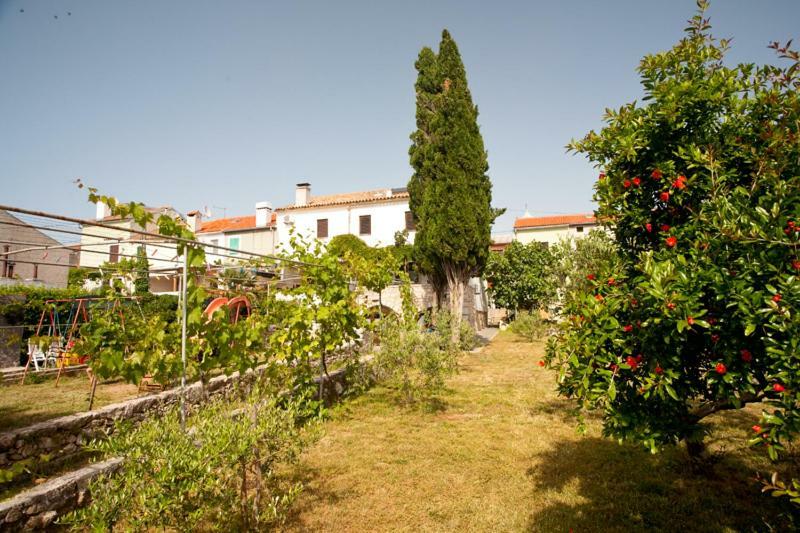 Pape Punat Apartmani I Sobe Exterior photo